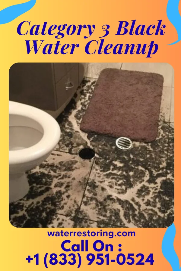 Category 3 Black Water Cleanup in Pawnee, OK