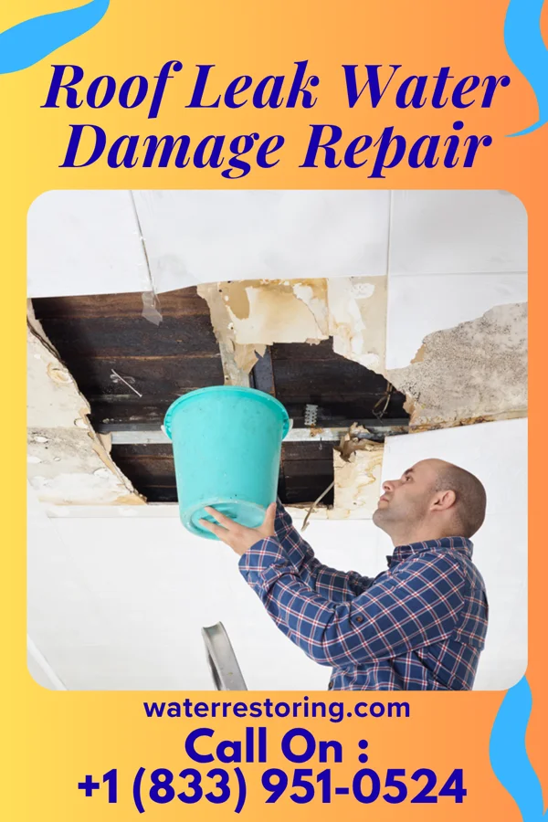 Roof Leak Water Damage Repair in Pawnee, OK